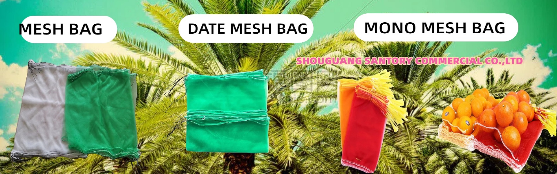 Company Display Image 1