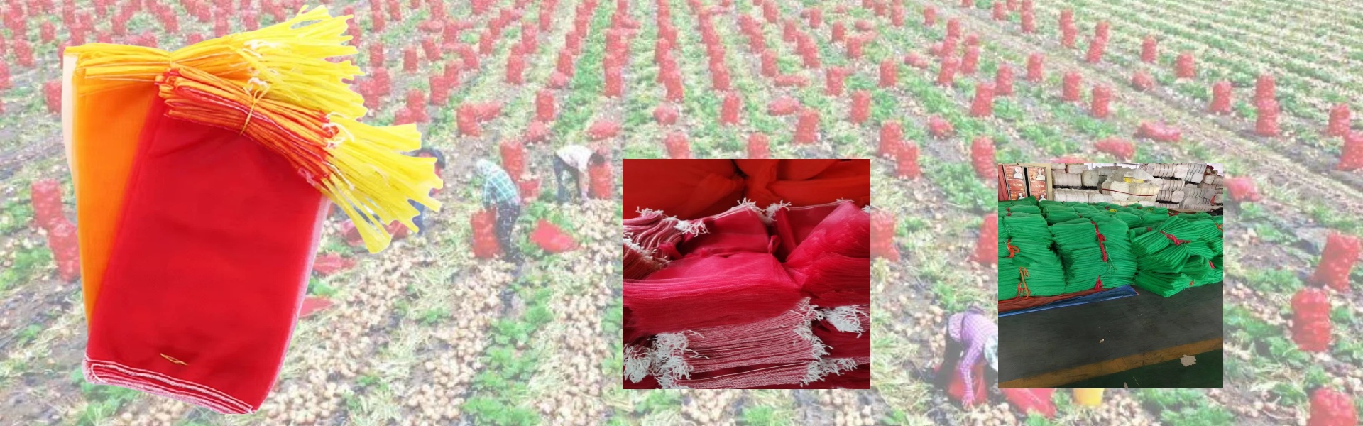 Company Display Image 3